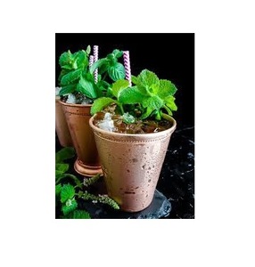 Luxury <b>copper</b> mint Julep <b>Cup</b> modern design for wedding parties and occasions wholesaler from india manufacturer from Indian exp - Product Image 3