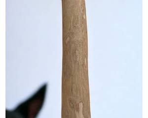 Natural Safe Coffee Wood Dog Chew Stick Vietnam Pet Chew <b>Toy</b> With Multiple Sizes Long Lasting <b>Toy</b> Ready Export 99GD - Product Image 6