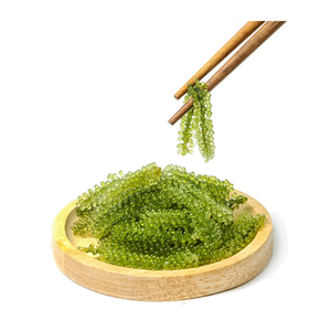 Raisin de mer frais et déshydraté en vrac-Exportateur de raisin de mer du Vietnam de qualité supérieure avec d'excellentes offres mondiales-Raisin de mer avec un excellent prix - Product Image 5