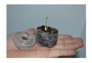 Qualité supérieure pour tourbe de noix de coco/tourbe de coco prête à exporter pour la plantation de jardin à bas prix, tourbe naturelle en fibre de coco - Product Image 2