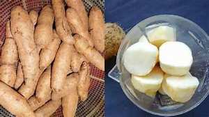 REBANADAS DE RAÍZ DE YAM BLANCO CONGELADO PREMIUM/FUENTE DE PLANTA PURA/SIN ADITIVOS/TECNOLOGÍA DE CONGELACIÓN LIMPIA - Product Image 5