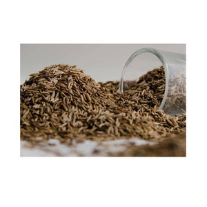 Polvo de semilla de chimen 100% natural certificado, condimento de calidad premium, semilla de chimen seca. Precio. - Product Image 3