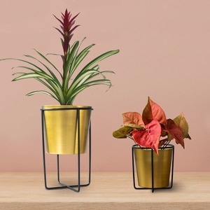 Macetas de metal hechas a mano Diseño colgante de moda exclusivo para balcón y sala de estar Maceta y maceta para uso en el piso - Product Image 3
