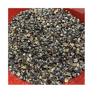 Extracto de Semilla de Trigo Sarraceno Tártaro, Seco, en Empaque a Granel, Certificado GMO - Product Image 2