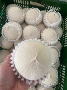 มะพร้าวน้ำหอมสดจากเวียดนาม รสหวานธรรมชาติ สำหรับตลาดต่างประเทศ - Product Image 2