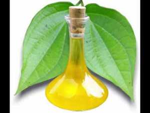 Huile pure et huile essentielle de feuille de betel, étiquette privée et approvisionnement en vrac, huile essentielle de parfum, qualité aromathérapie, en provenance d'Inde - Product Image 2