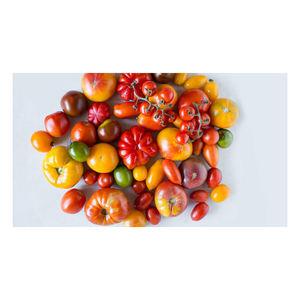 Grossiste : Tomates cerises bio fraîches de qualité supérieure (viande de bœuf) 10kg – Livraison rapide, vente en gros disponible - Product Image 2