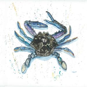 Crabe bleu frais à vendre - Product Image 5