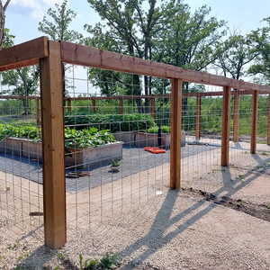 16 m. X 50 trong. Mạ kẽm hàn lưới thép xử lý nhiệt thân thiện với môi gia súc hàng rào tấm - Product Image 6