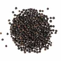 Poivre noir entier séché AD de qualité supérieure, forme cube, naturel, 10 kg, livraison rapide, en stock, provenance US, approvisionnement direct usine