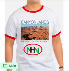 Offre Spéciale Logo personnalisé imprimé unisexe goutte épaule T-Shirt 100% coton lourd 230G à manches courtes décontracté hommes grande taille meilleur - Product Image 4