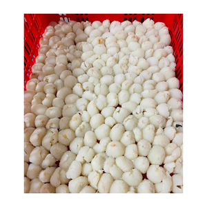 Lichi congelado de primera calidad, recogido a mano y empaquetado con cuidado, ideal para helados, batidos y recetas de mezcla de frutas. - Product Image 2