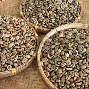Vietnam Robusta Green Coffee <b>Beans</b> Size 18 Raw coffee <b>beans</b> Highlands Coffee Bulk Export Industrial Coffee Supplier - Product Image 3