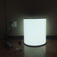 Panneau EL ultra-lumineux en papier, feuille mince électroluminescente découpable, panneau EL avec onduleur, matériau PVC, toutes couleurs, noir