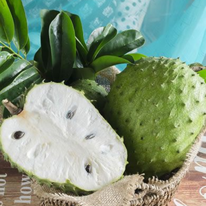 เยื่อบริสุทธิ์สำหรับเครื่องดื่มและขนมหวานจากเวียดนาม - Product Image 6