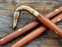 Bâton de marche en bois victorien de style vintage Poignée de tête de chien en laiton Bâton de canne de créateur Bâton de marche en forme de chien