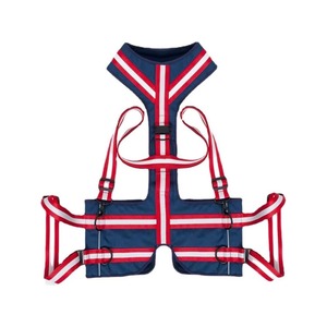 Harnais pour animaux de compagnie de qualité supérieure, au design personnalisé, à bas prix, harnais pour chien de conception tendance à vendre, au prix de gros - Product Image 3