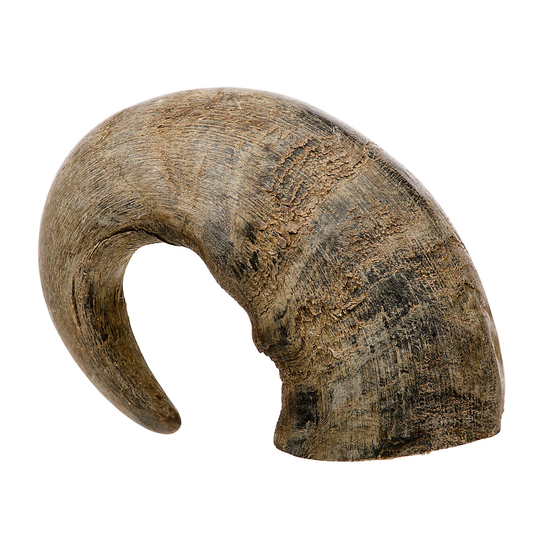 ธรรมชาติ