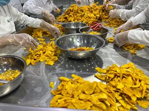 Jaque séché doux vietnamien de qualité supérieure sans additifs Idéal pour les importateurs à la recherche de collations tropicales naturelles et saines - Product Image 3