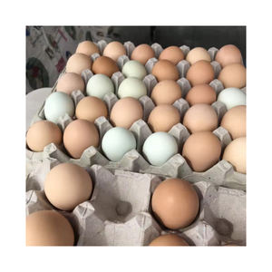 Huevos Frescos Orgánicos de Gallina Blanca y Morena de Mesa de Bélgica, 24 Meses de Vida Útil, Venta al por Mayor a Granel, Marca Personalizada de Granja - Product Image 6