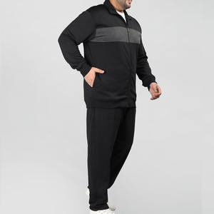 Survêtements zippés pour hommes Ensemble 2 pièces Vêtements de sport Survêtements personnalisables Joggers Pantalon de survêtement Ensemble assorti pour hommes Survêtements en polyester - Product Image 4