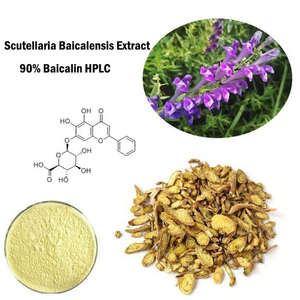 Scutellaria Baicalensis根エキスバイカリン粉末80%-98% バイカリン - Product Image 2