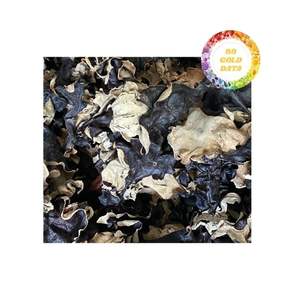 เชื้อราหูเมฆที่มีเนื้อสัมผัสที่ดีเยี่ยมและรสชาติธรรมชาติสำหรับการใช้ทำอาหารที่หลากหลายและการจัดหาที่เชื่อถือได้จากแหล่งที่เชื่อถือได้ - Product Image 3