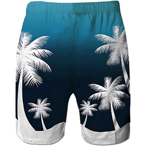 Nouveauté : Shorts élégants 100% coton, sublimation, anti-rides, anti-UV, respirants, durables, pour homme, couleur personnalisée - Product Image 2