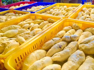 Vente en gros avec prix compétitif surgelés IQF Mongthong Durian Prêt en stock Durian Fruits surgelés à vendre Durian viande fraîche - Product Image 5