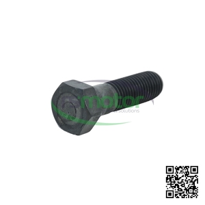 Perno Hexagonal de Alta Calidad para Motor, Pieza de Repuesto de Alta Precisión, Piezas de Fijación MWM RS-01144465 - Product Image 2