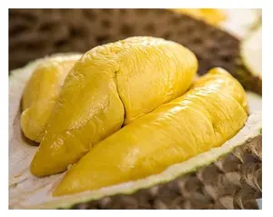Venta caliente Tropical congelado Vietnam Durian precio competitivo Durian carne congelada Durian alta calidad rey de frutas para exportación