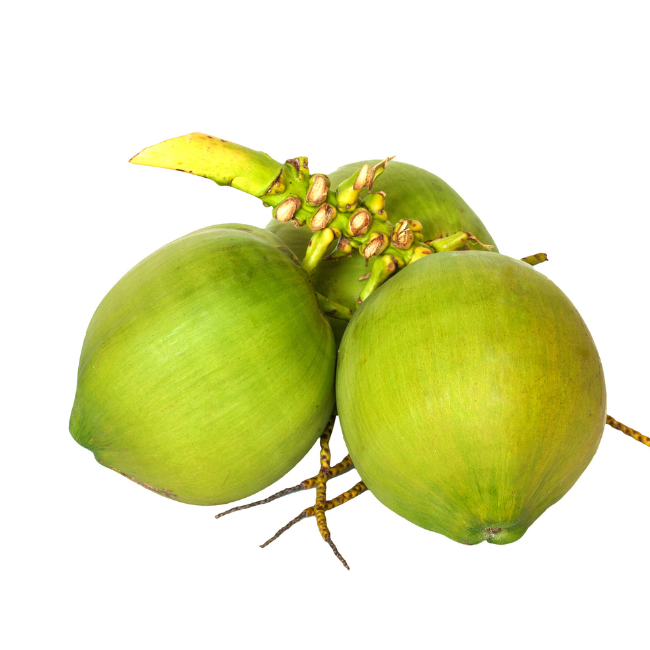 Stay Cool and Energized During Your Summer Travels with Affordable Coconut Water
