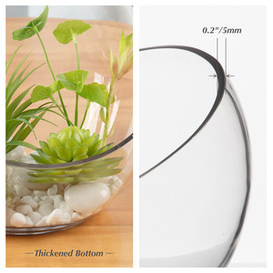 VHC0708 - Florero de Vidrio Transparente con Corte Inclinado Único - 8.25 - Product Image 5