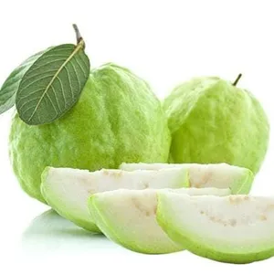 Vendita calda GUAVA fresca originale dal VIETNAM - WHATSAPP: + 84 358211696 Ms. Iris