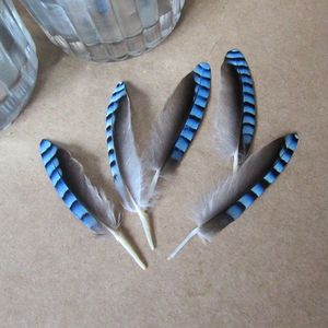 Plumas de cola de pescado azul para la decoración y el vuelo de aves - Product Image 3