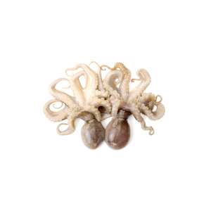 ปลาหมึกสด แปรรูปน้อยเพื่อรสชาติและความสดใหม่สูงสุด - Product Image 3