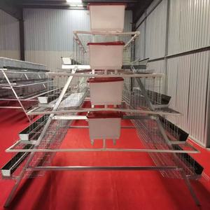 กรงเลี้ยงไก่กรงเลี้ยงไก่ไข่ไก่/กรงนก120แบตเตอรี่สำหรับขายแบบมืออาชีพ - Product Image 3