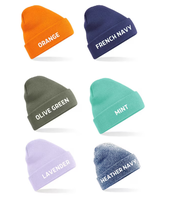 Gorro personalizado con logotipo bordado de fábrica de Vietnam, gorro personalizado para hombre y mujer, gorro de invierno, Parche de cuero, MOQ bajo, animado común