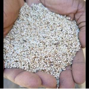 Organic Premium Natural White Sesame Seeds PP Material Raw and <b>Dried</b> Food Processing <b>Planting</b> Style - Product Image 5