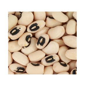 Frijoles de Ojos Negros naturales de buena calidad/frijol de caupí blanco disponible en stock fresco a granel a precio mayorista con entrega rápida - Product Image 2
