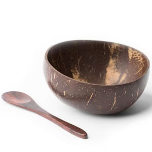 Hot 2025 Vintage écologique bois service ensemble haute qualité noix de coco bol fabriqué à la main personnalisé Vietnam pour la décoration - Product Image 1