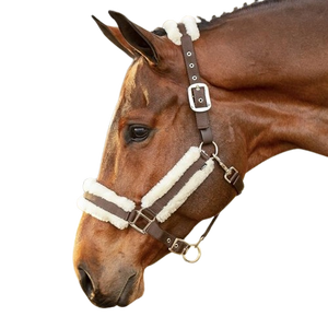 Vente en gros de licou d'équitation confortable en nylon avec rembourrage en fourrure polaire de qualité supérieure - Product Image 1