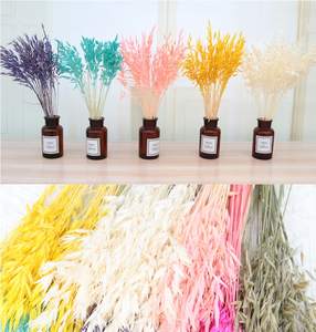 Konserviertes Gras Dornenkrone Trocken blumen arrangement Hochzeit DIY Material Natürlicher getrockneter Pflanzens trauß - Product Image 6