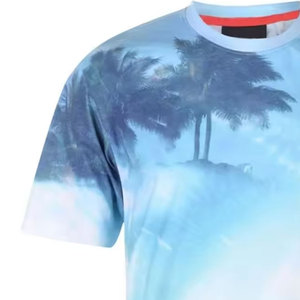 Tamaño de EE. UU. Impresión de transferencia de calor personalizada Algodón/Fibra de bambú Fabricante de Pakistán Camiseta de manga corta con cuello redondo para hombre - Product Image 5