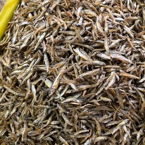 Seeg ขนมแมวแห้งแช่แข็งปลาแอนโชวี่เกลือต่ำ10กก - Product Image 6