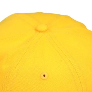 Sigma Gamma Rho SGRho Crest Cap Gold 20 lana 80 acrilico acrilico scudo greco ricamato anteriore posteriore regolabile sorellanza cappello - Product Image 5