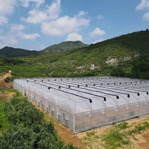 Invernadero Industrial de Gran Escala con Múltiples Vainas de Plástico y Soporte de Alambre Reforzado para la Producción Comercial de Tomate y Cultivos de Enredaderas - Product Image 4