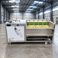 Hoge uniformiteit fruit- en groenteschiller, energiebesparende en stille schilmachine