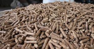 Granulés de bois de pin naturel 6 mm, 0,7 % de cendres, 16 500 J, combustible économe en énergie pour le chauffage des poêles et l'utilisation domestique - Product Image 2
