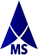 Mobshah Group Inc. logo